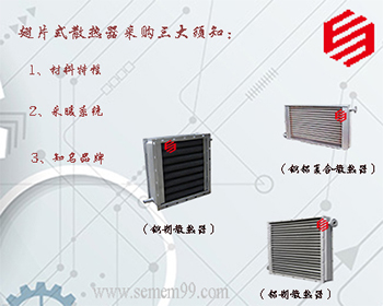 ����ɢ��Ƭ